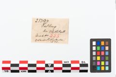 Etikett zu Bronzenadelspitzenschoner (NHMW-PRAE-025394)